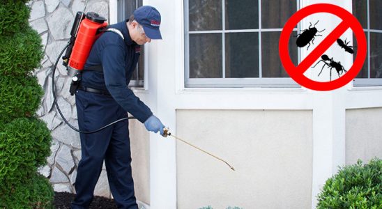Kürtün Gümüşkurt İlaçlama böcek ilaçlama ve haşere kontrolü — ilaclama-tr.com